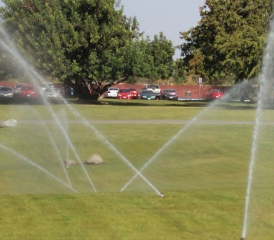 CSUB’s water use exceeds a million gallons a day