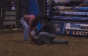 Bull rider