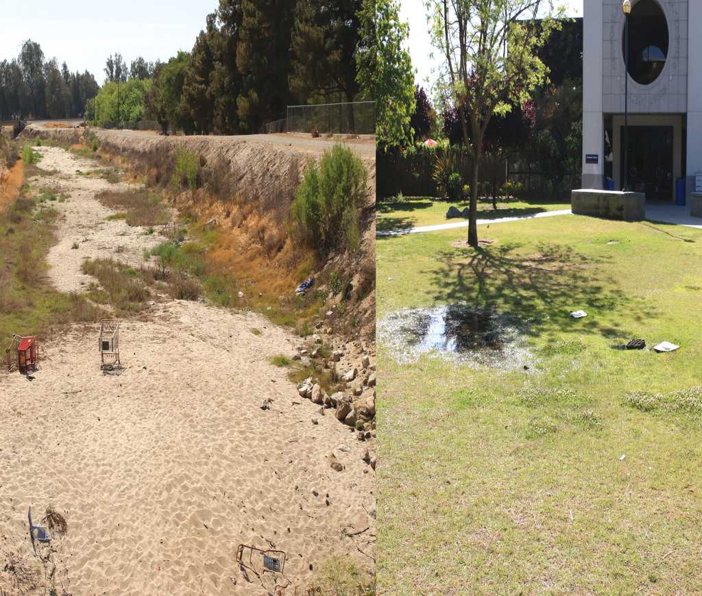Left: A dried-up canal resting behind Sam Lynn Ballpark in Oildale now houses shopping carts, weeds and sand instead of water. The drought has caused many bodies of water to completely dry up and give the appearance of a barren wasteland, just like this former canal. Right: Meanwhile, in front of the Student Union, a large puddle soaks into the grassy terrain. CSUB plans to reduce water usage on campus by 25 percent this year.