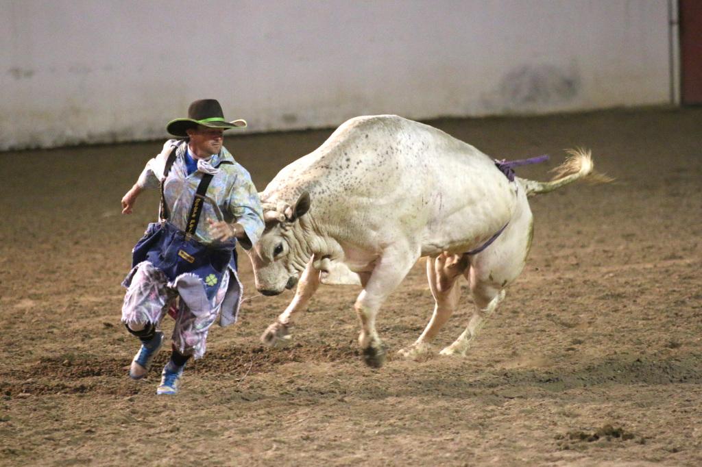 Rodeo Clown does his best to protect the riders at the 2015 Sherriff’s stampede rodeo on Friday May 1, at the Kern County Fairgrounds.
