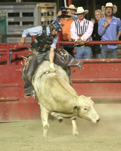 A.J. Hamre does his best to stay on Junior for 8 seconds during 2015 Sherrif’s stampede rodeo on Friday May 1, at the Kern County Fairgrounds.  AJ Alvarado/The Runner