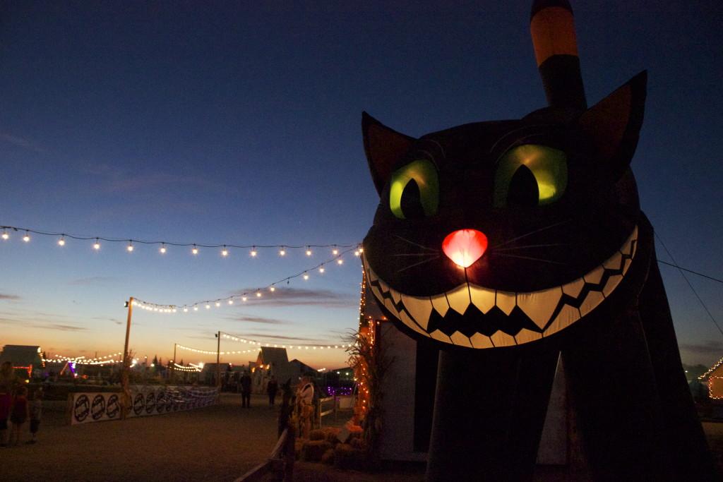 The Bakersfield Halloween Town is an attraction for the community and is running until Nov. 1. The big black cat is located at Halloween Town on Riverlakes Drive on Oct. 22.
Photo by Bre Williams/The Runner