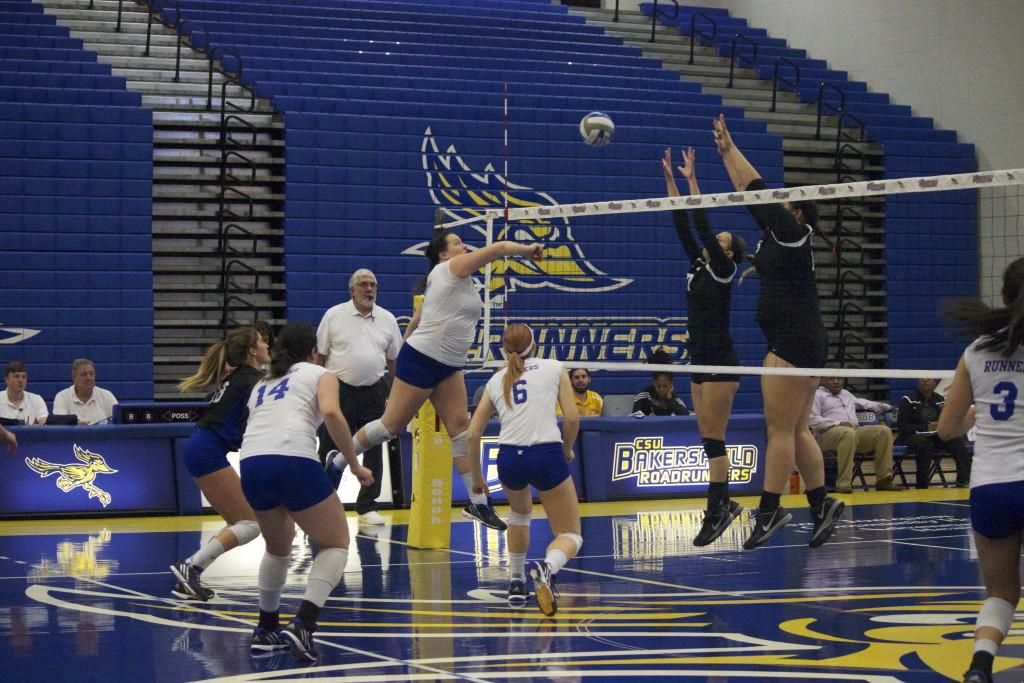 CSUB's senior outside hitter Kelsey Sawyer spikes a ball past the Chicago State defense on Saturday, Nov. 14 in the Icardo Center.
Photo by Bre Williams/The Runner