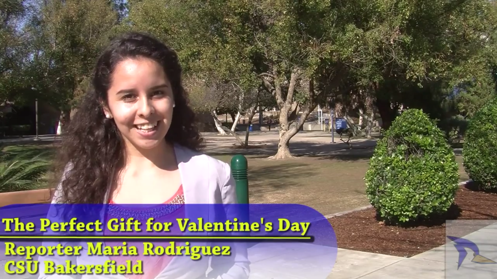 The Perfect Gift for Valentine's Day