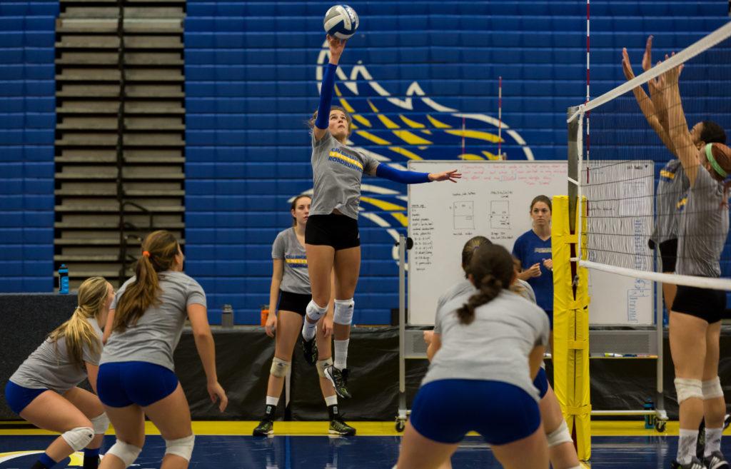 Redshirt-senior Sophie Flemion takes on a new position as setter in her final season. She played libero the previous years.
Photo by Ben Patton/The Runner