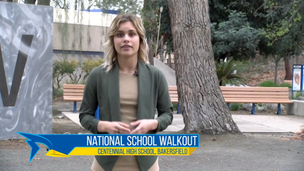 National School Walkout Against Gun Violence