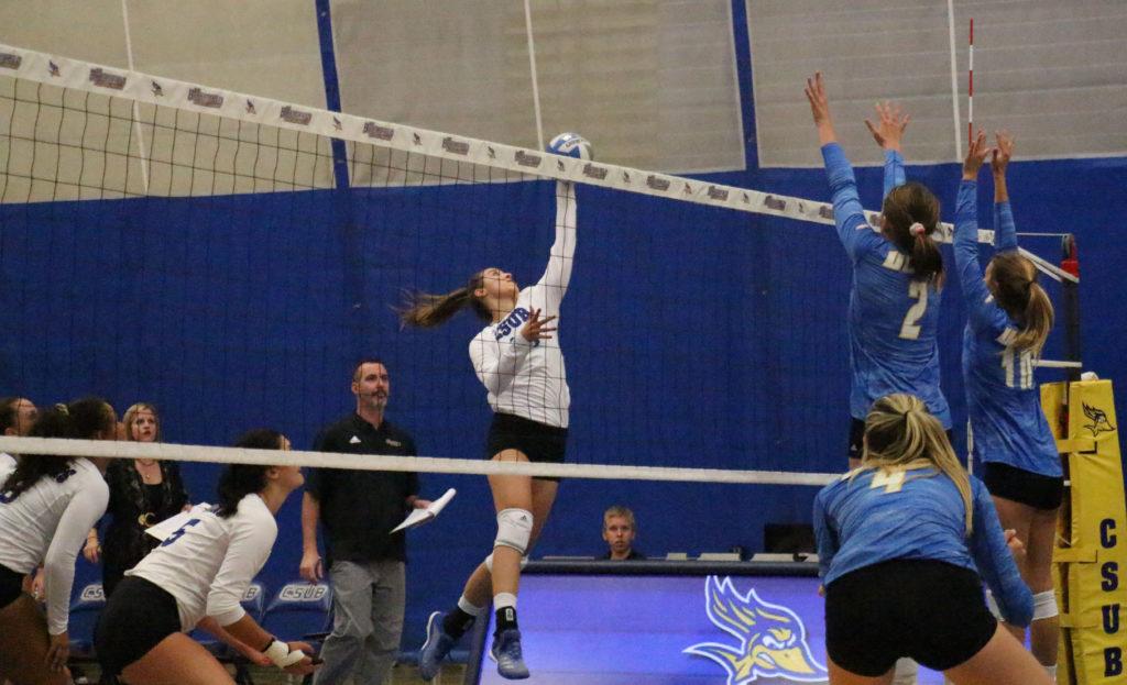 CSUB wins opener in Roadrunner Classic