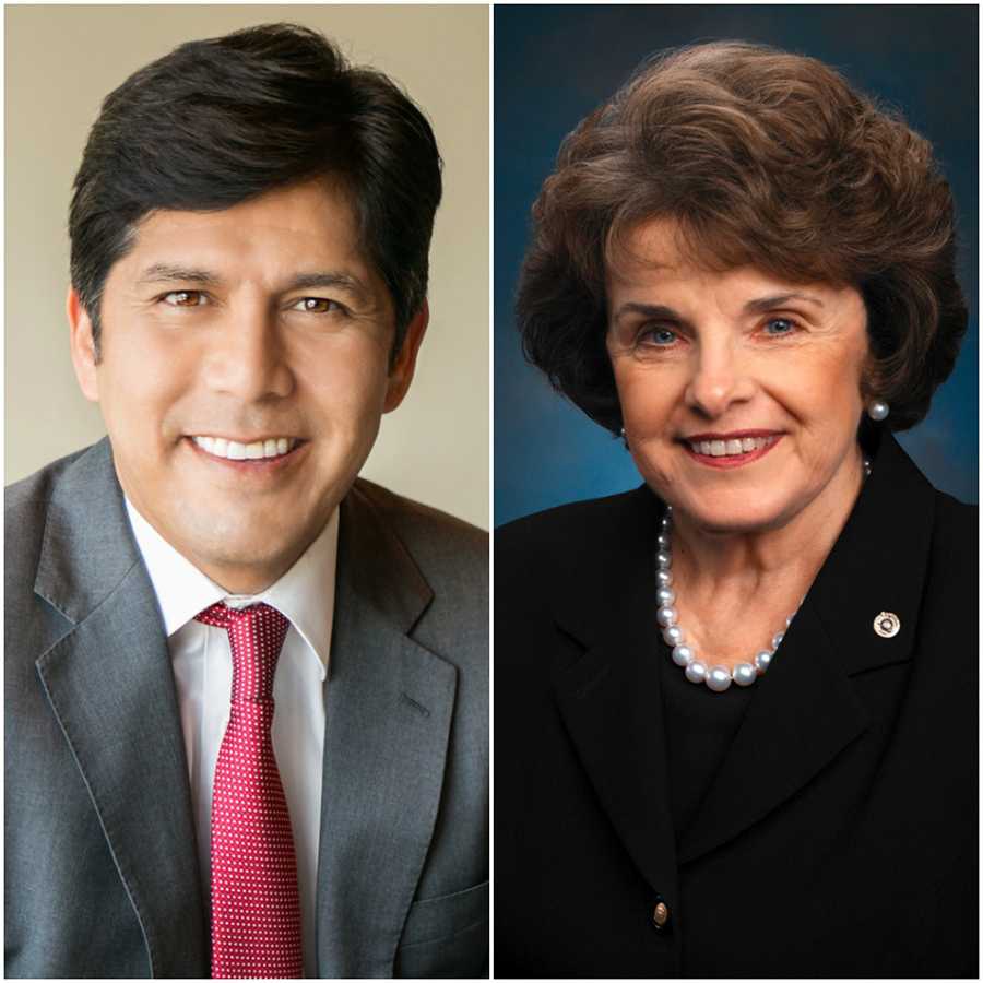 Democratic senate showdown