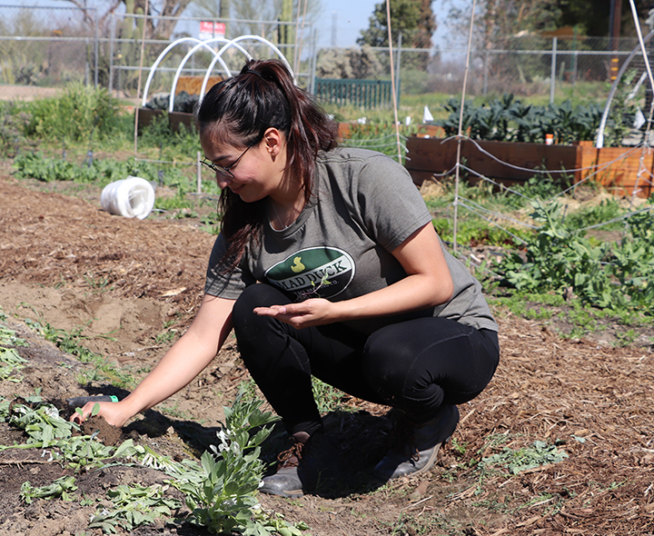 Sonia Rodriguez, a CSUB Junior who is double majoring in both Criminal Justice and Communications with an emphasis in Public Relations, having fun at the Plant with Purpose event held at the Edible Garden on Feb. 26th, 2020.