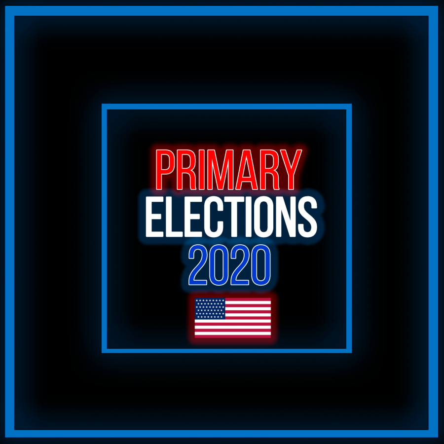CHernandez_PrimaryElections2020