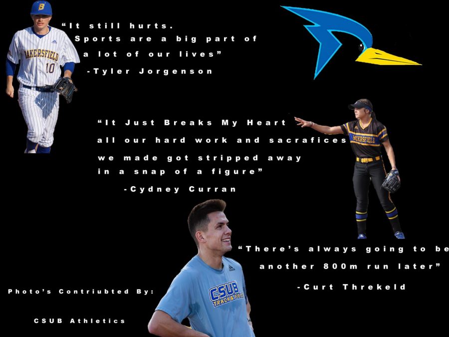 CSUB senior athletes Tyler Jorgensen, Cydney Curran, and Curt Threlkeld comment about the loss their senior seasons. 
collage by: Mari Woodmansee