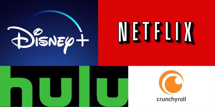 With so many options, it can be overwhelming to decide which platform is worth the cost. 

Sources: CordCutting, Georgetown University, and Wikipedia.