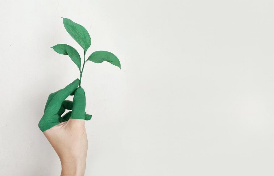 Free stock image from Pexels.com