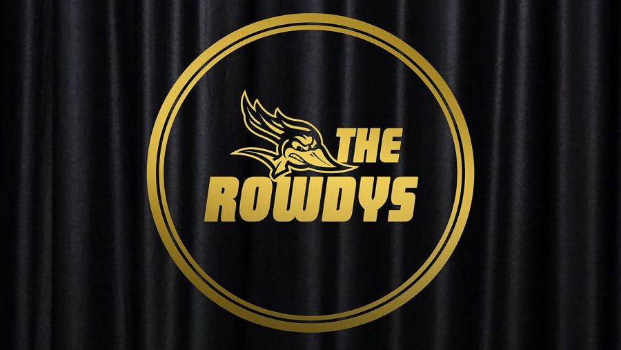 The 2020 ROWDY awards