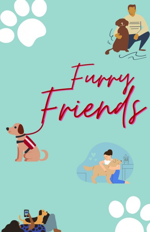 Seeking comfort from furry friends