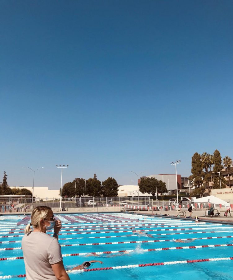 Roadrunner Aquatics Club Team back in the water