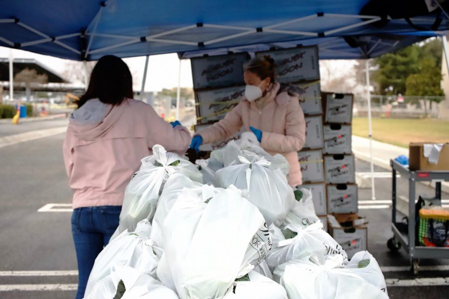 Volunteers prepare bags of food for community members at CSUB’s monthly food distribution on March 15.