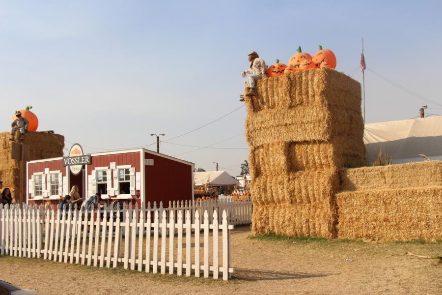 Vossler Farms