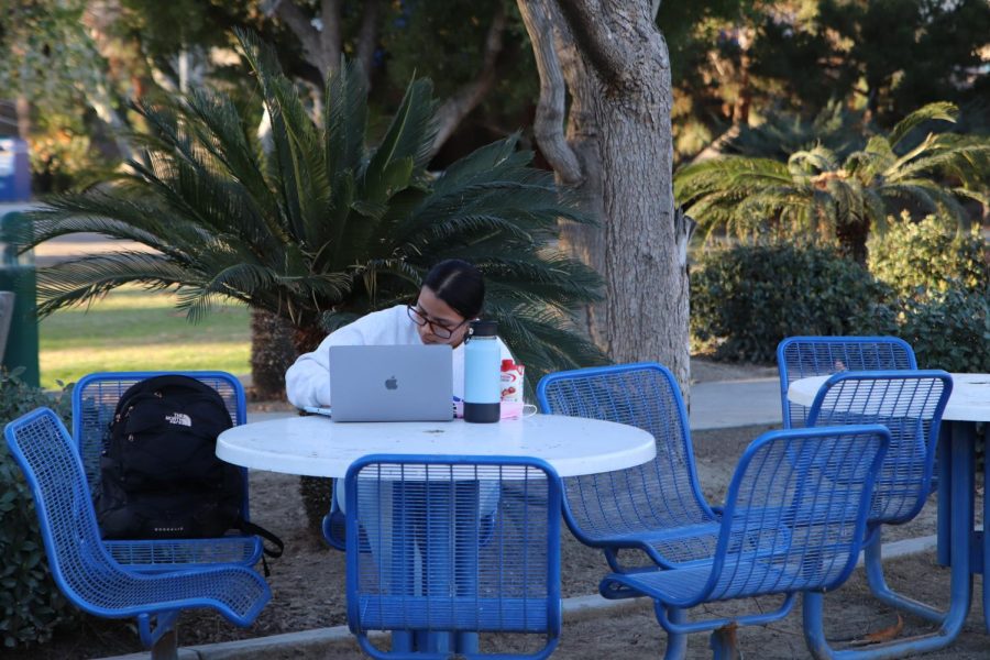 Image of student studying around campus.