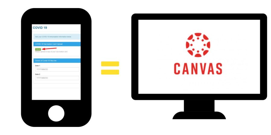 Canva illustration of uploading vaccine records on cellphone for access to Canvas on computer.