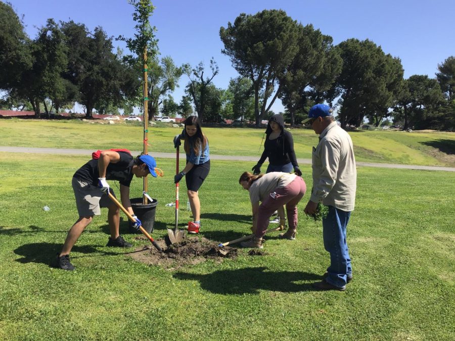 Bobby Biology major, Nicolette Reneau, Biology Major, Julissa Castruita, Biology major, Rachel Howe, Biology major and Rafael Vazquez, grounds keeper working together to plant a tree at CSUB.