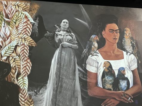 image of Frida painting