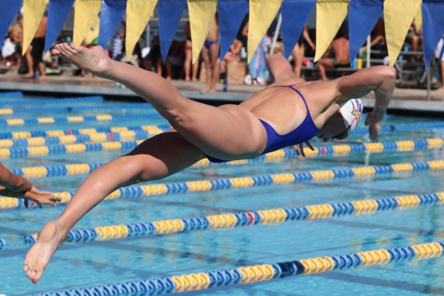 Mikayla Popham diving