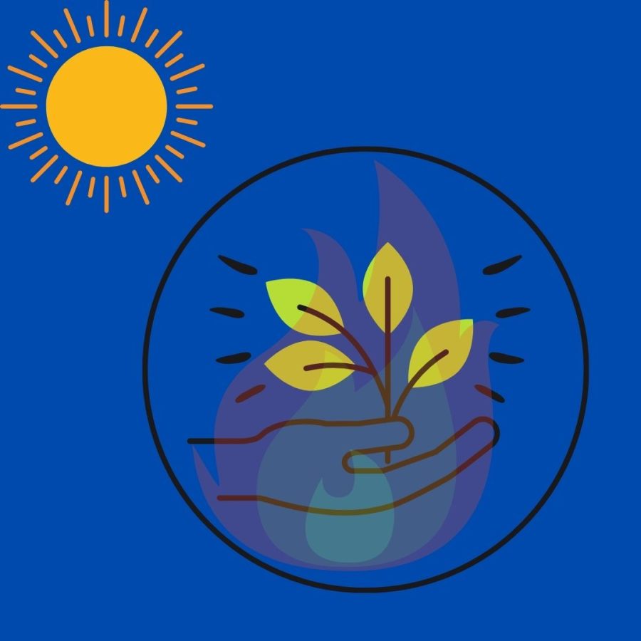 illustration of plant in flames under a sun