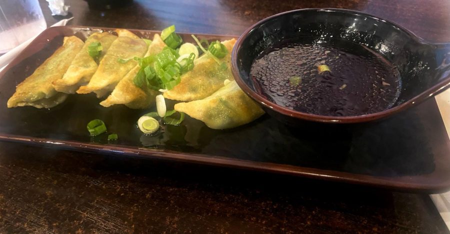 gyoza
