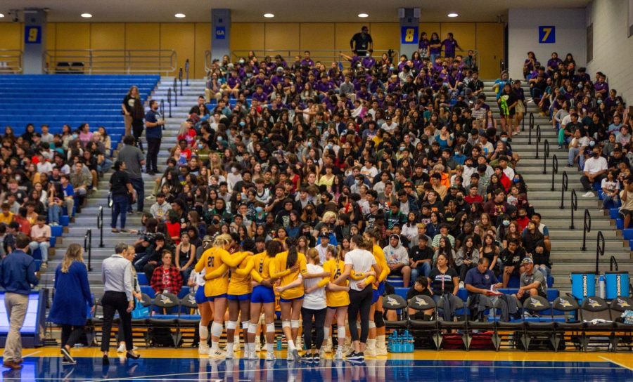 Mayer_Volleyball6