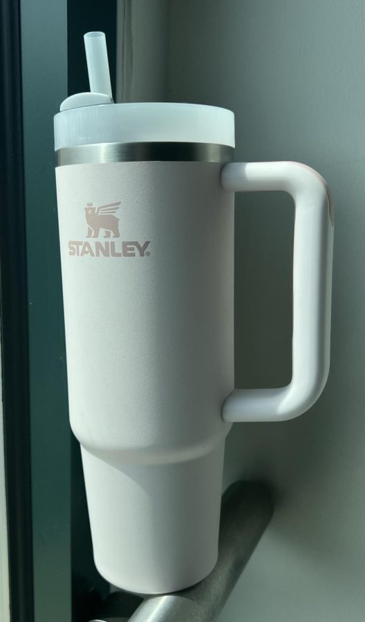 Is the Stanley cup worth its high price tag?