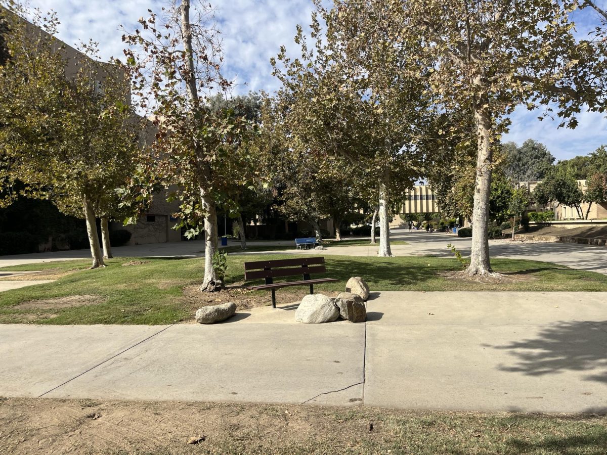 Photograph of benches outside of the Science II building and Dorothy Donahoe Hall.