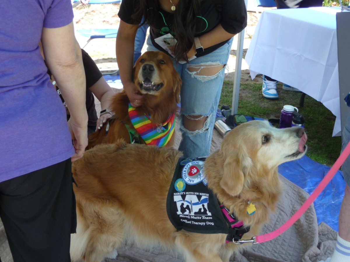 Support dog petting area. 
