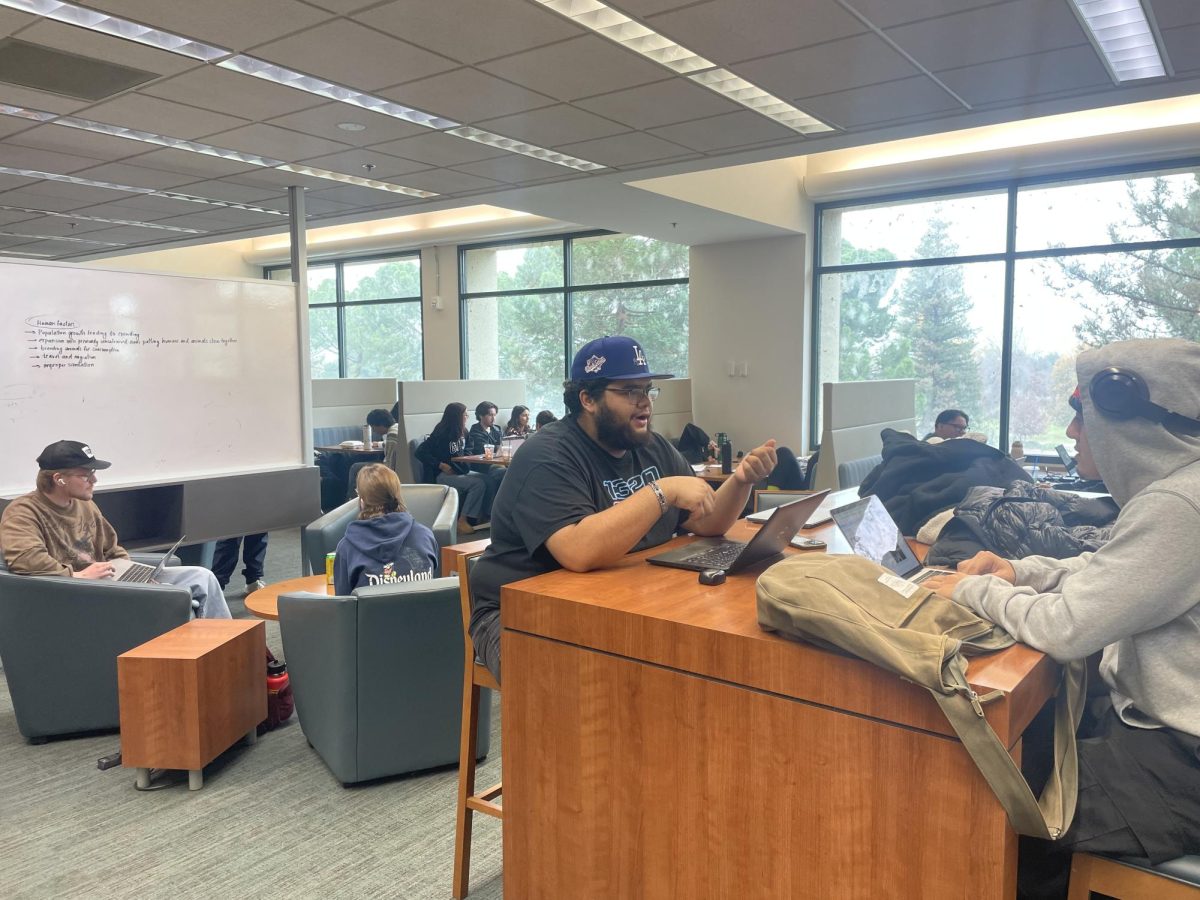 Students studying during finals week in the second floor of the Walter Stiern Library. Photo by Julian Caro / The Runner