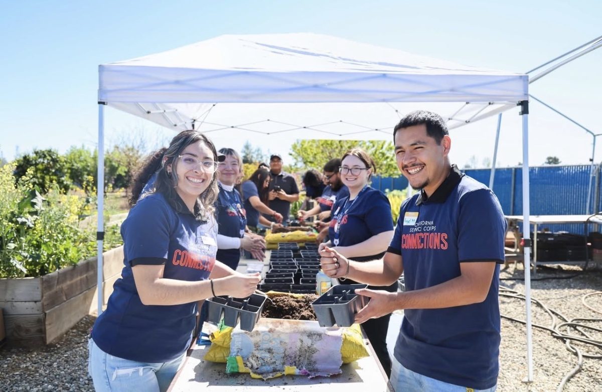 Photo provided by CSUB College Corps